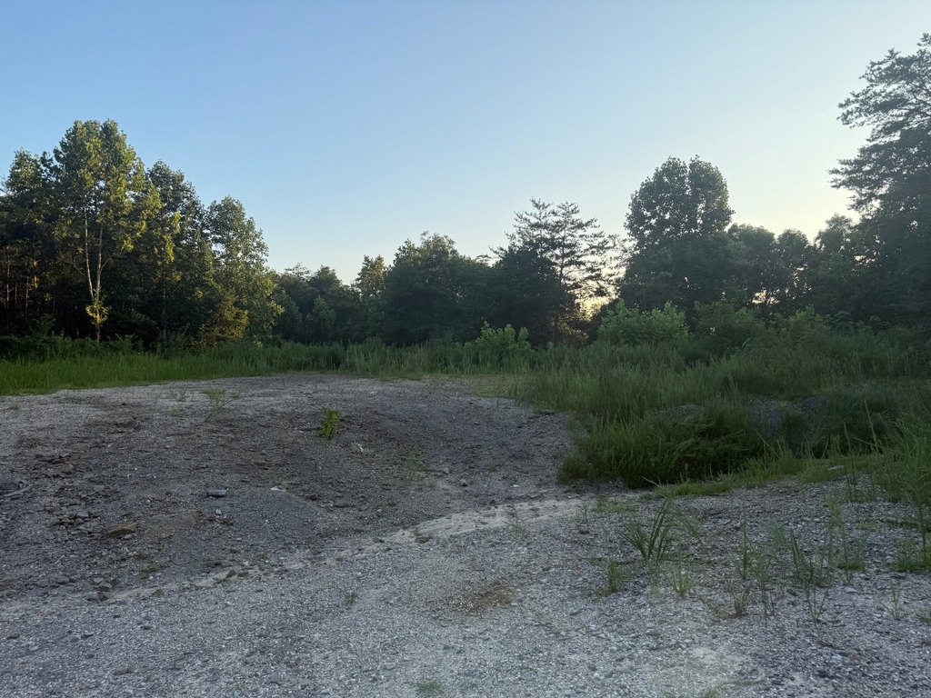 Picture 16