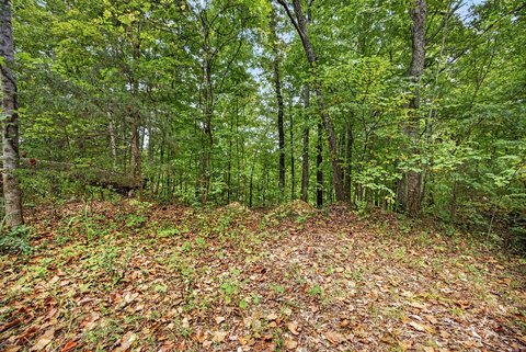 Land, Celina, TN