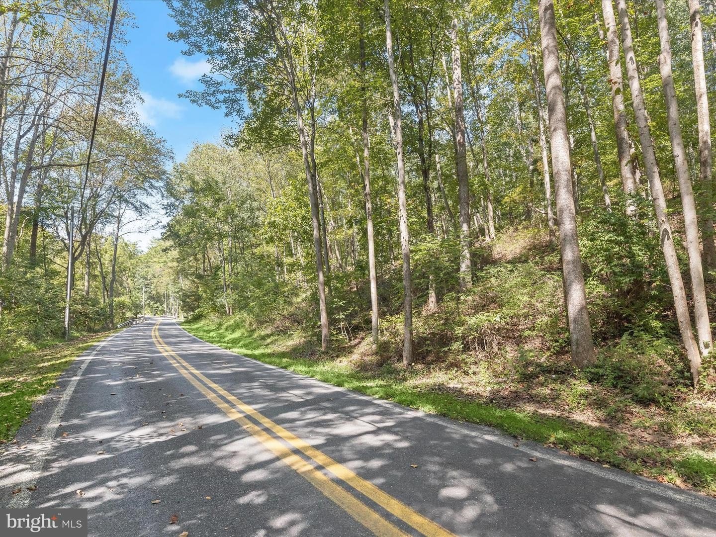 Wooded Land Parcel in Westminster