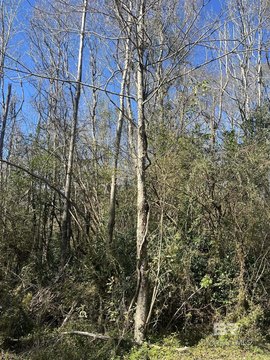 Land in Bay Minette, AL