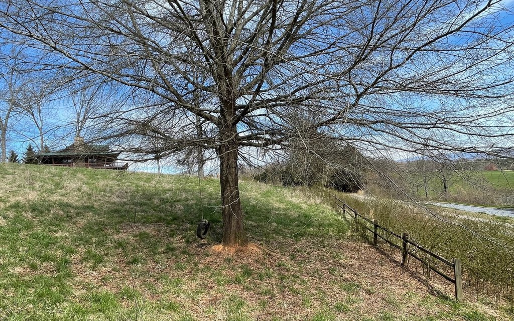 Picture 23