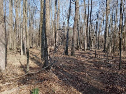 Wooded Land in Jacksonville, AR
