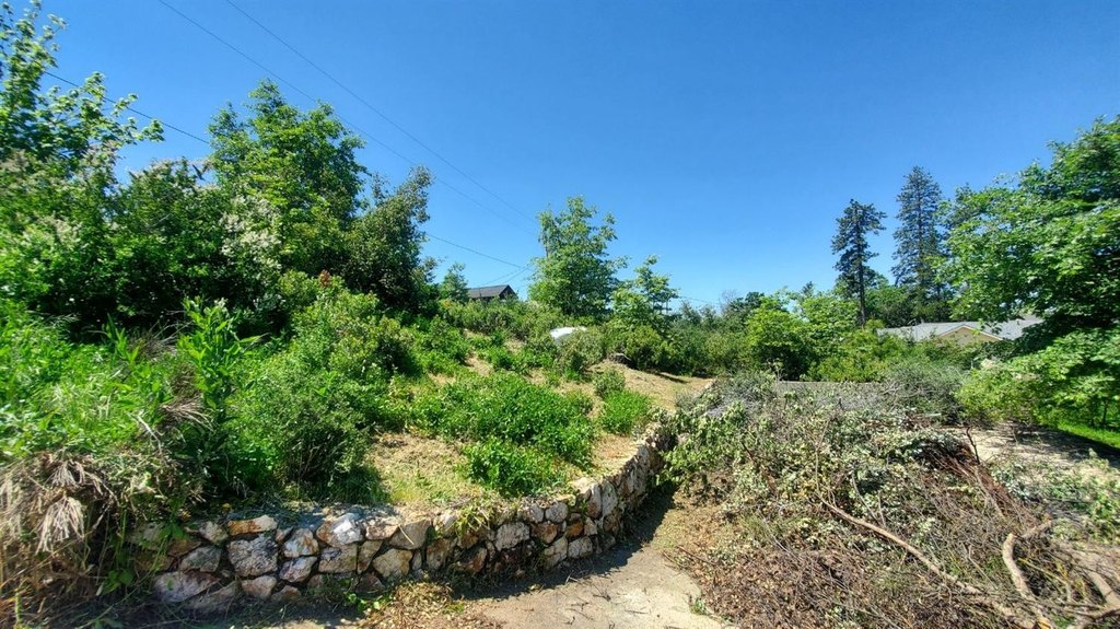 Picture 7