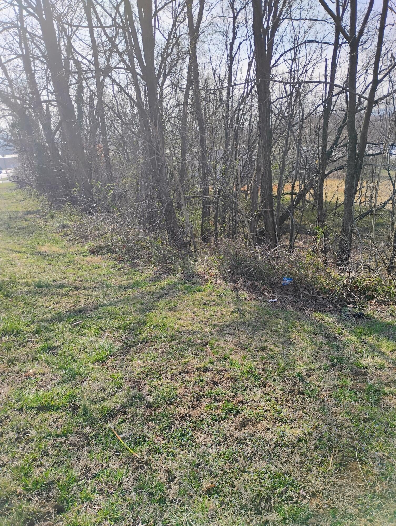 Residential Land in Troutville, VA