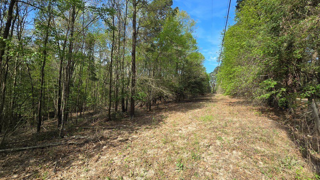 Picture 8
