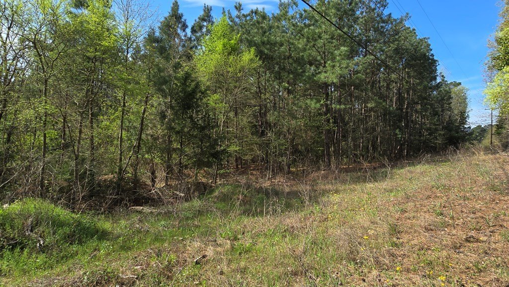 Picture 11