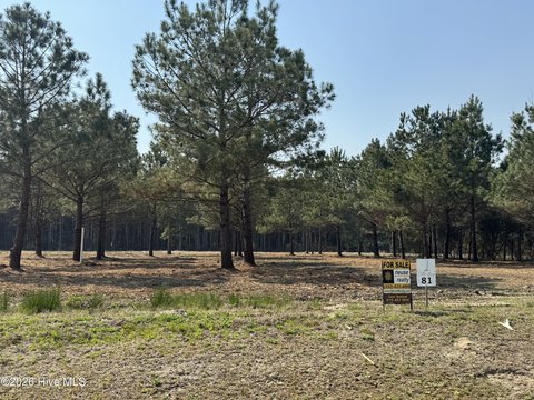 Coastal Land in Cutter Bay