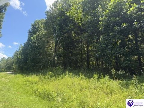 Lots and Land, Falls Of Rough, KY