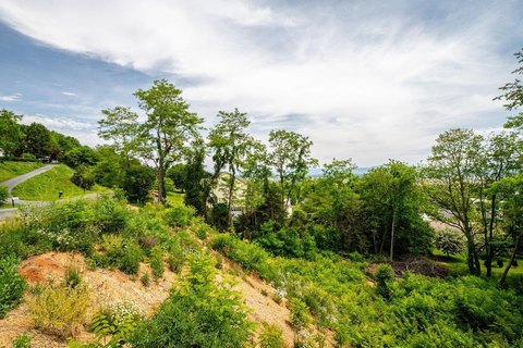 Residential Lot with Mountain Views