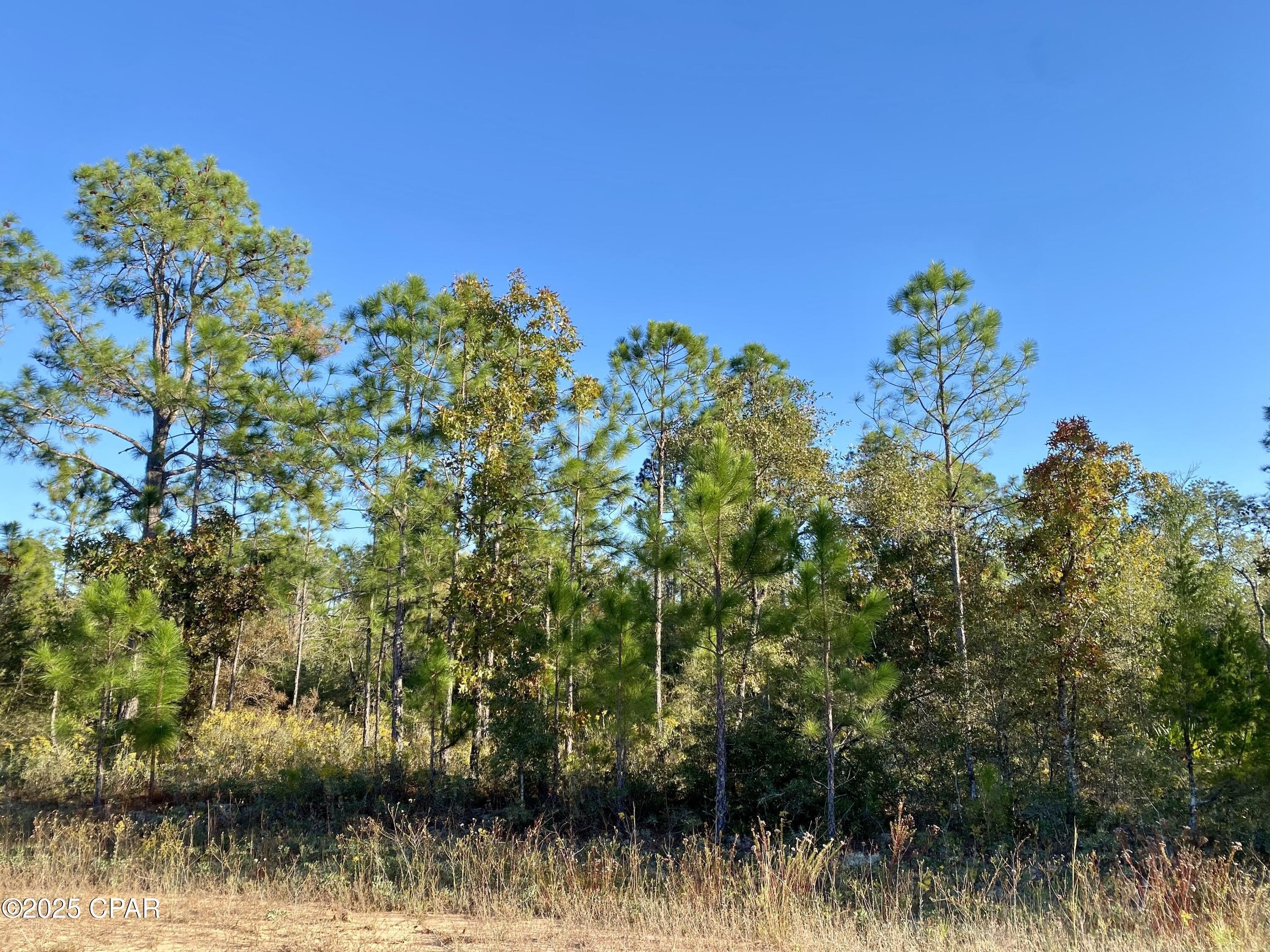 Land in Compass Lake