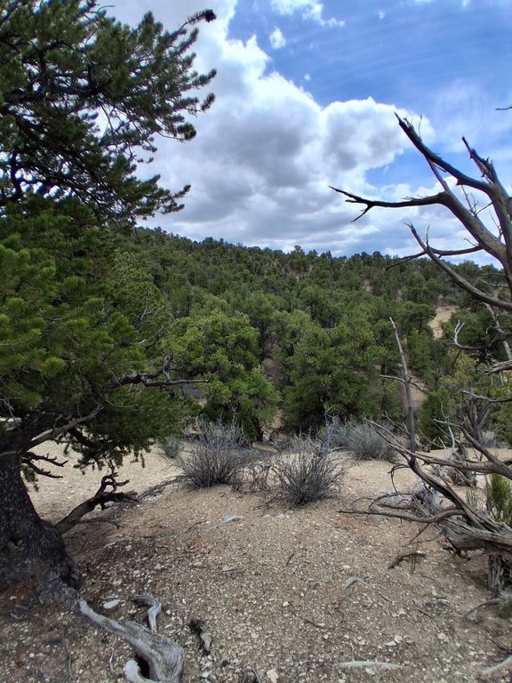Picture 8