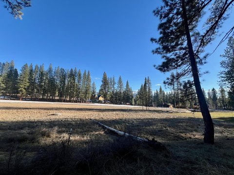 Portola Building Site Opportunity