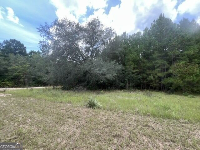 Picture 24