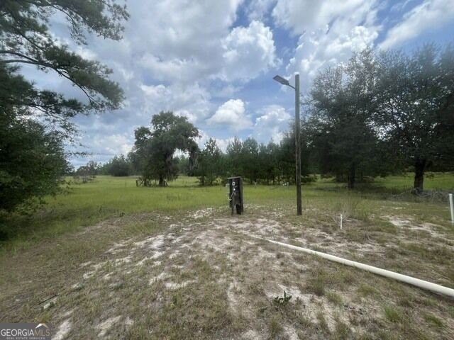 Picture 23