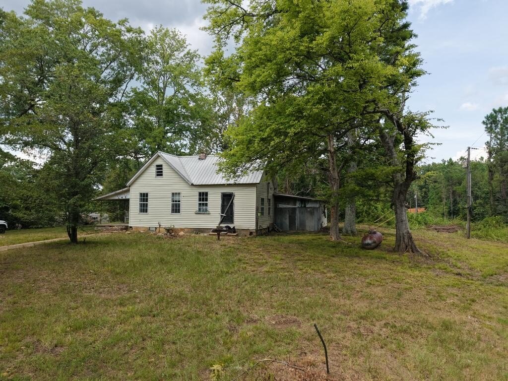 Picture 4