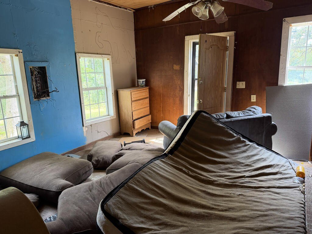 Picture 14