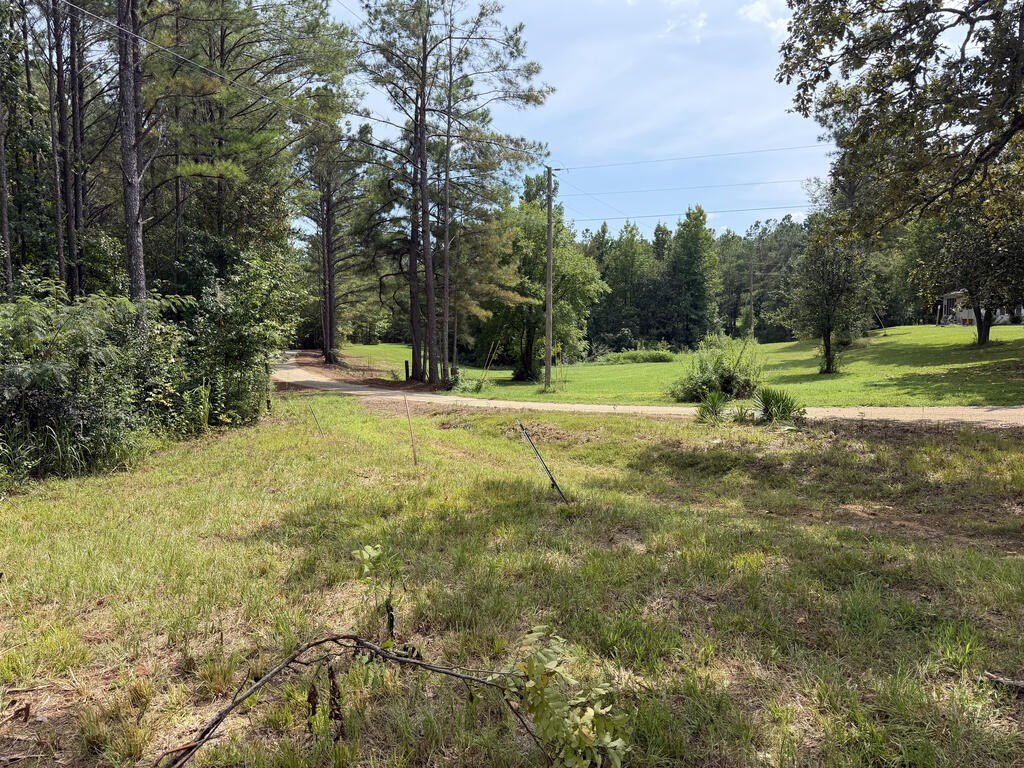 Picture 22