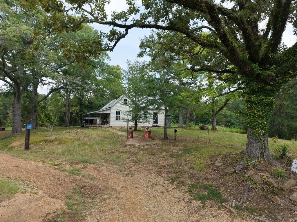 Picture 3