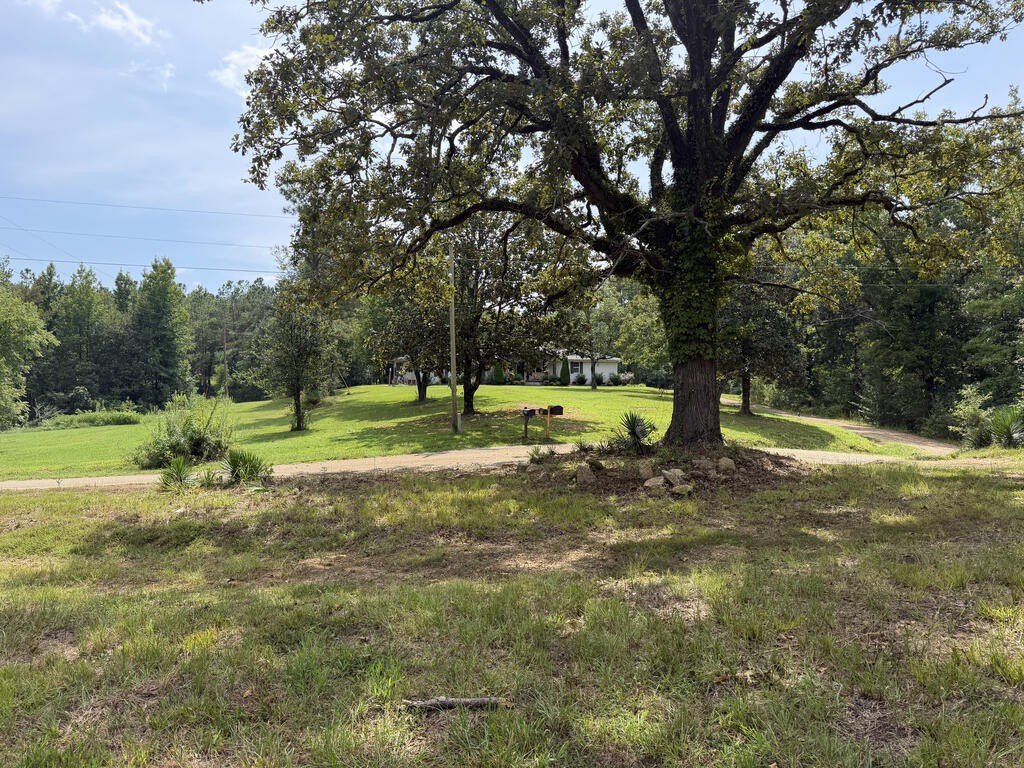 Picture 21