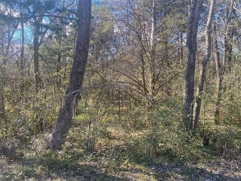 Picture 7