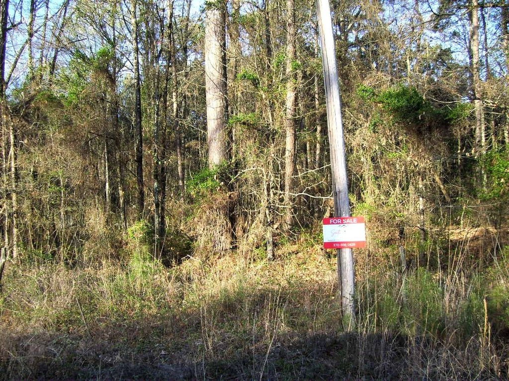Picture 4