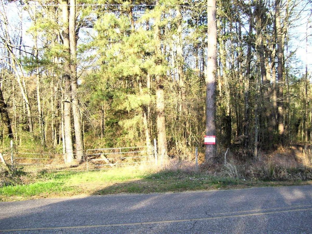 Picture 3
