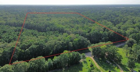 20 Acres Hardwood Timber Land