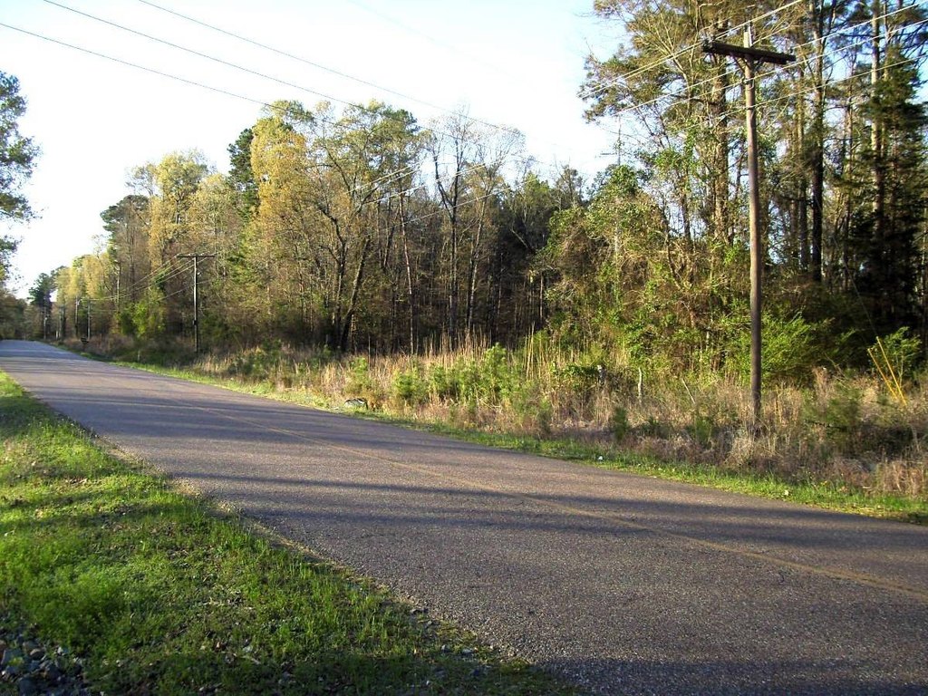 Picture 2