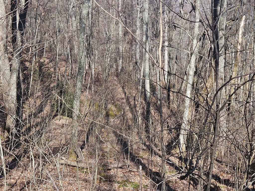 Picture 12