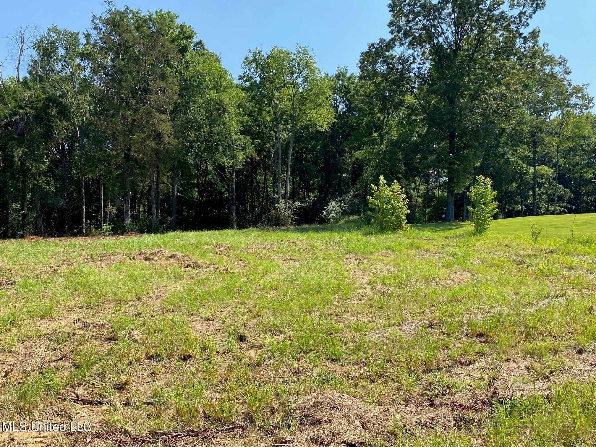 Land in Byhalia, Mississippi