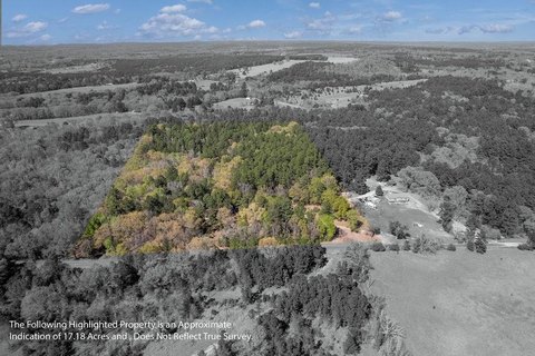 Recreational Land Near Palestine, TX
