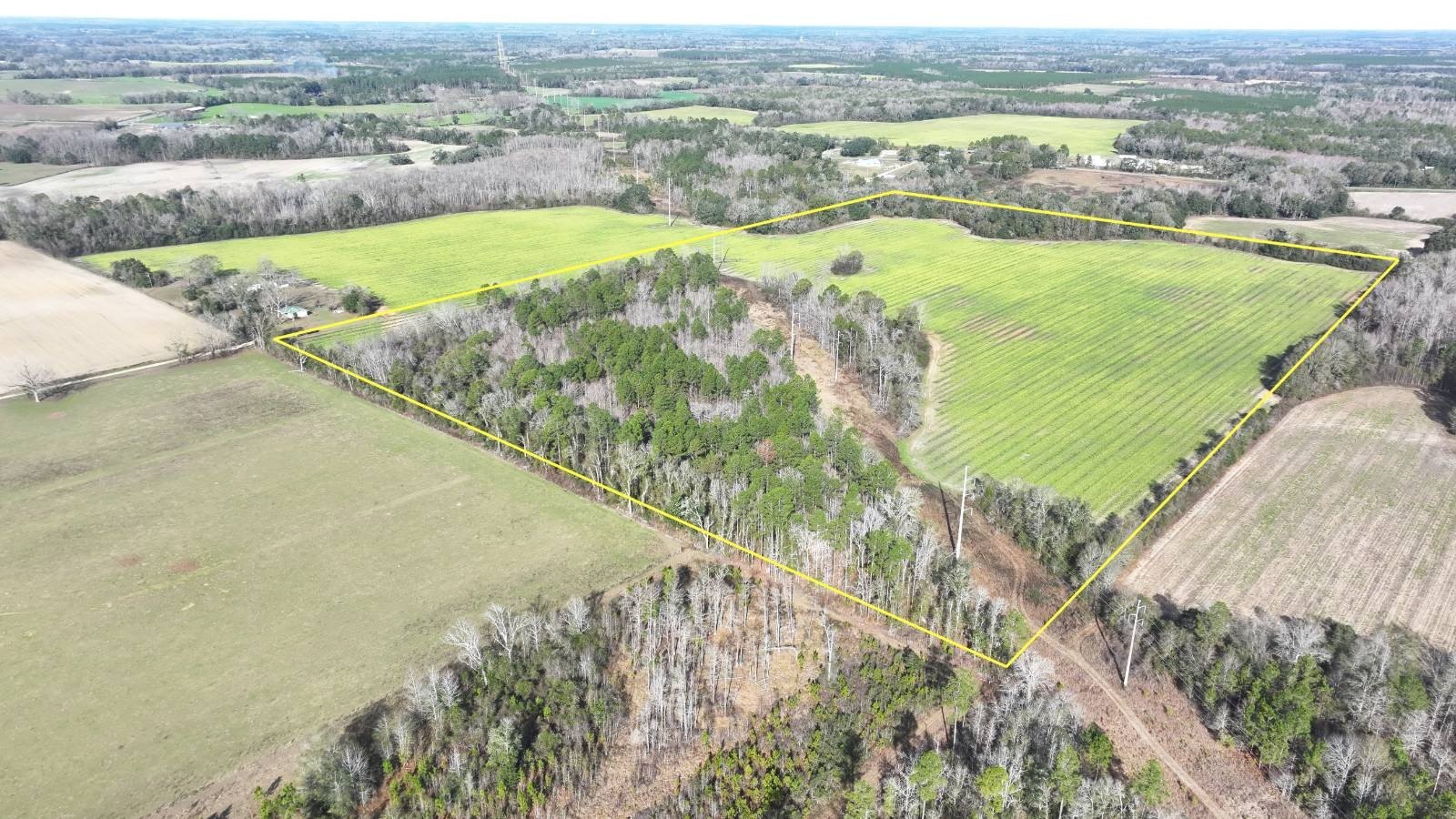 60 Acres Vacant Land