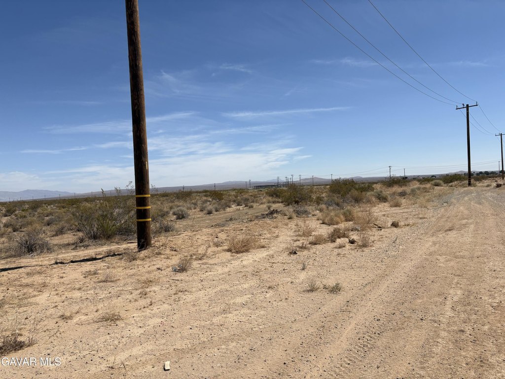 Picture 6