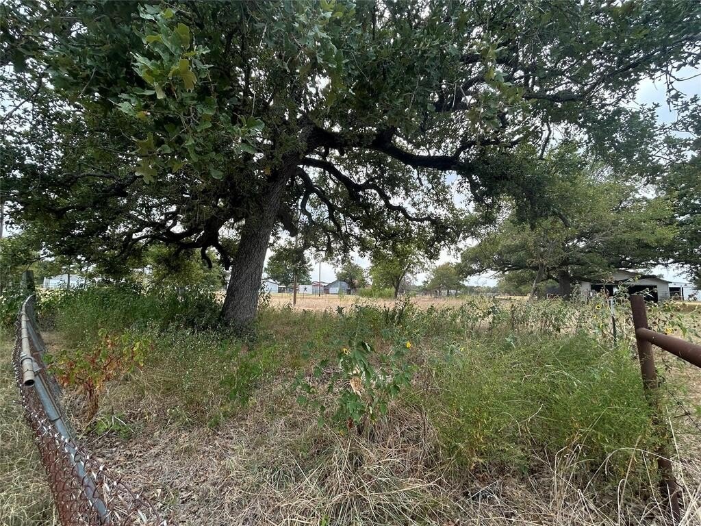 Picture 5