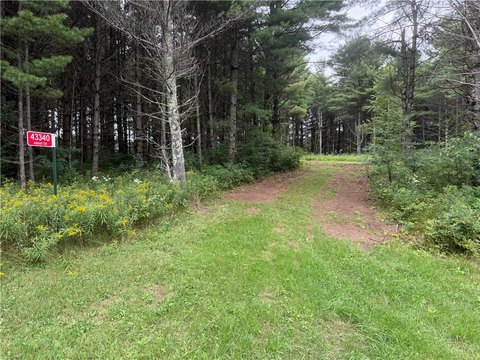 Wooded Buildable Lots Near Cable