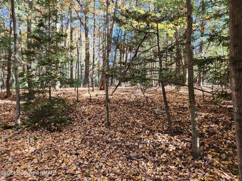 Wooded Lot Near Pocono Attractions