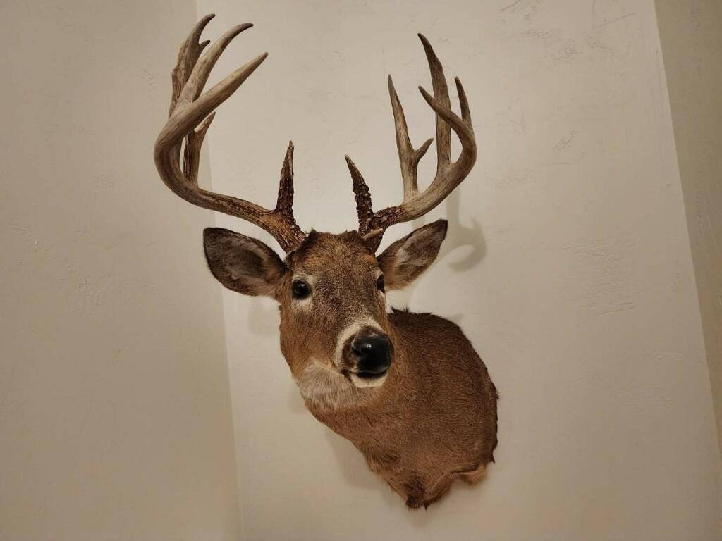 Picture 21
