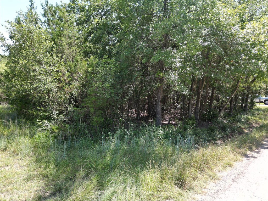 Picture 5