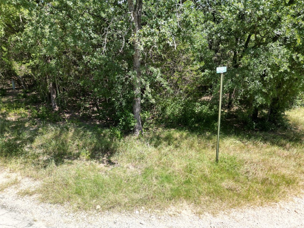 Picture 3