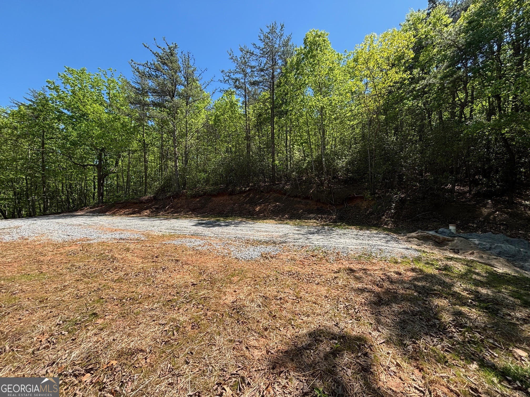 Residential Land in Cleveland, Georgia
