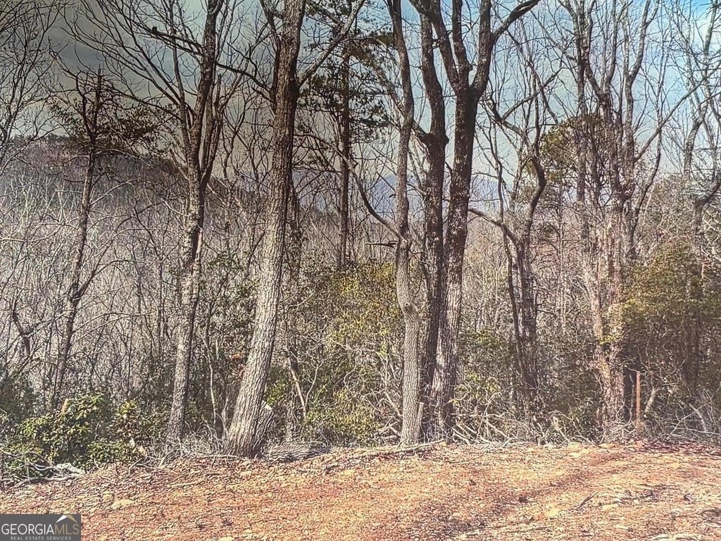 Picture 19