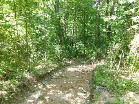 Recreational Wooded Hunting Tract