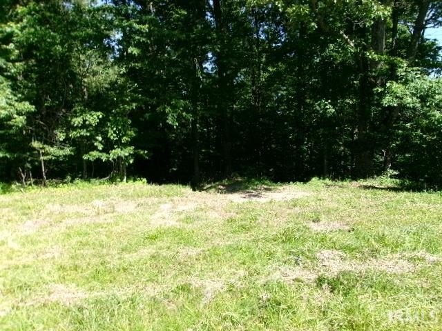 Picture 6