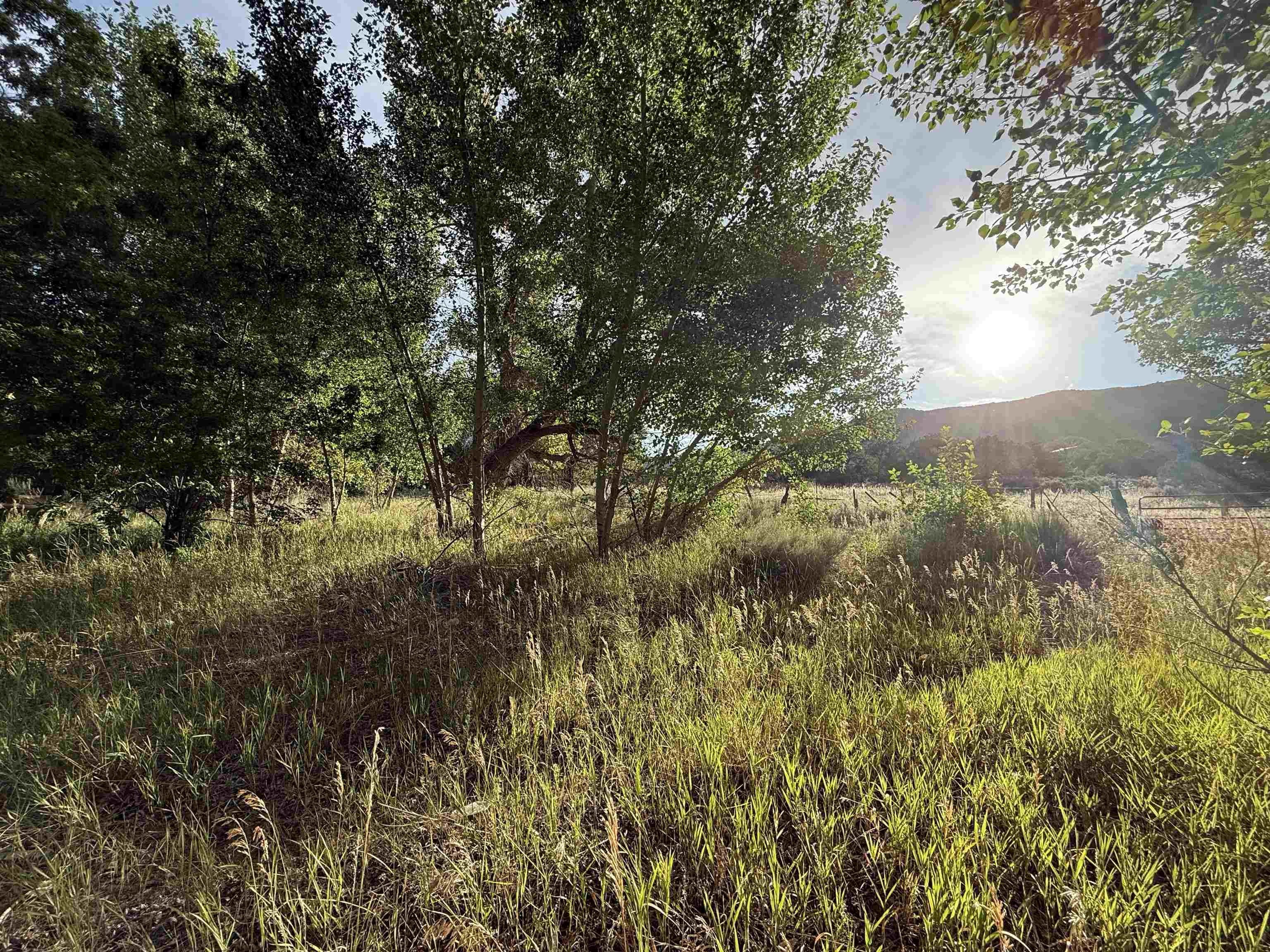 Land with Water Rights
