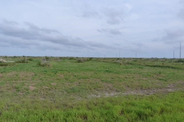 Picture 2