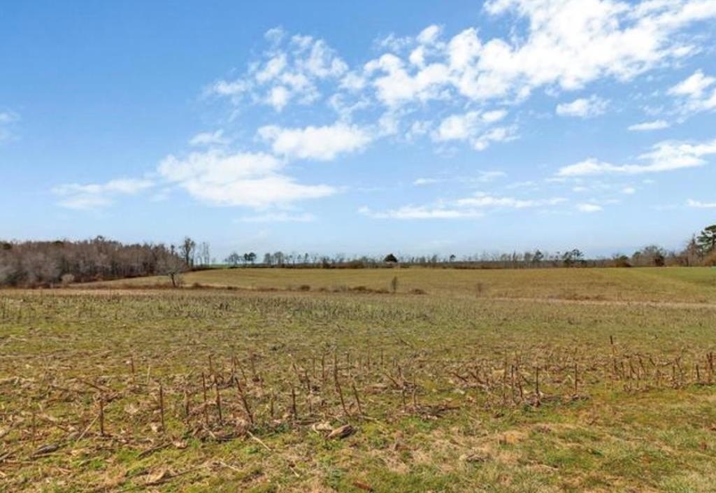 Cleared Land Near Big South Fork