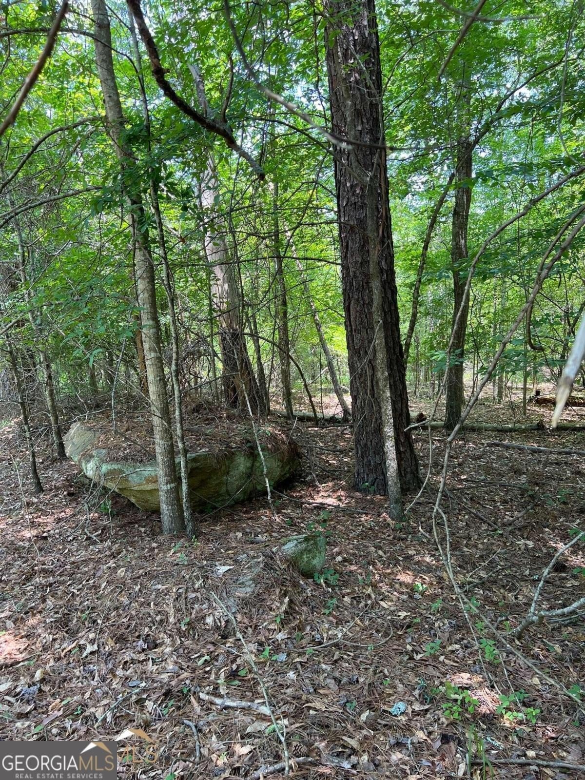 Wooded Lot with Lake Views