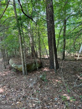 Wooded Lot with Lake Views