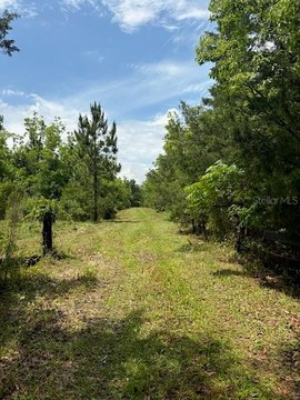 Acreage with Pole Barn