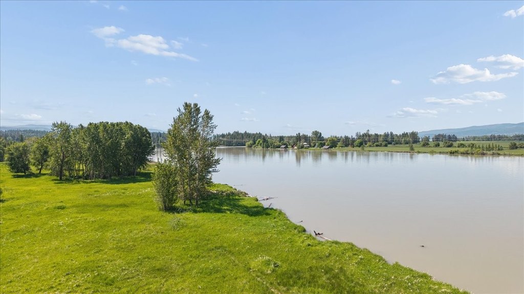 Picture 16